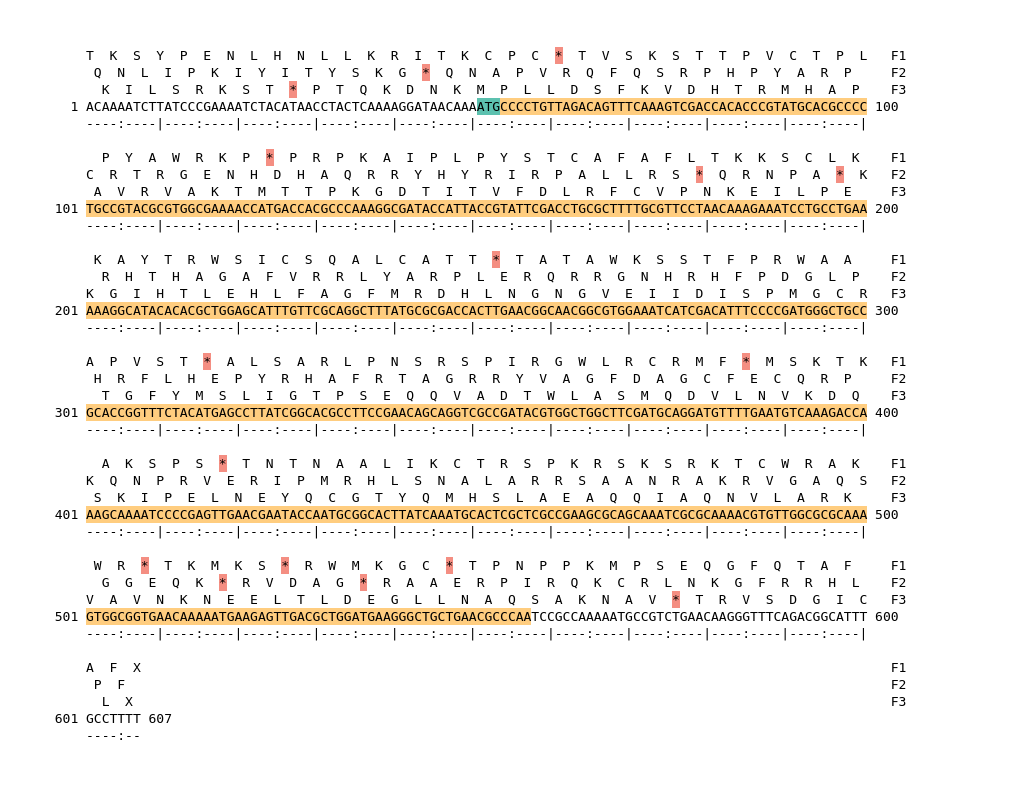 Image of isolate 50101 DNA sequence (yellow) for gene NEIS1956. Amino acids for each of the three frames is shown above the sequence. There is a start codon highlighted in green. There is not a stop codon highlighted red.
