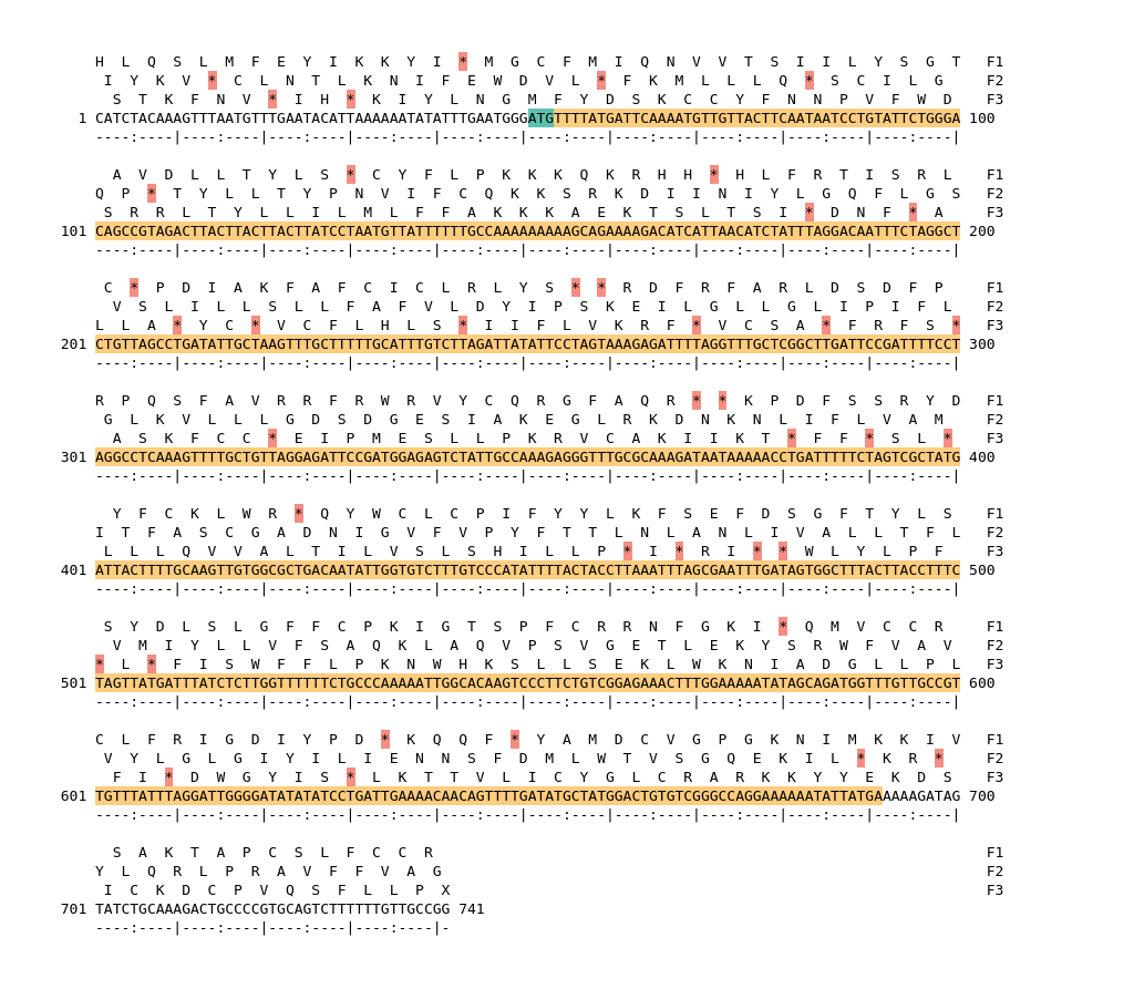 Image of isolate 51107 DNA sequence (yellow) for gene NEIS1927. Amino acids for each of the three frames is shown above the sequence. There is a start codon highlighted in green. There not a stop codon highlighted red.