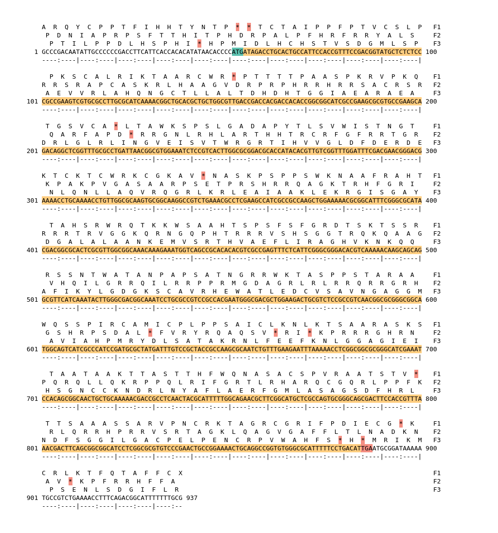 Image of isolate 54238 DNA sequence (yellow) for gene NEIS0394. Amino acids for each of the three frames is shown above the sequence. There is a start codon highlighted in green. There is a stop codon highlighted red. There is an internal stop codon.