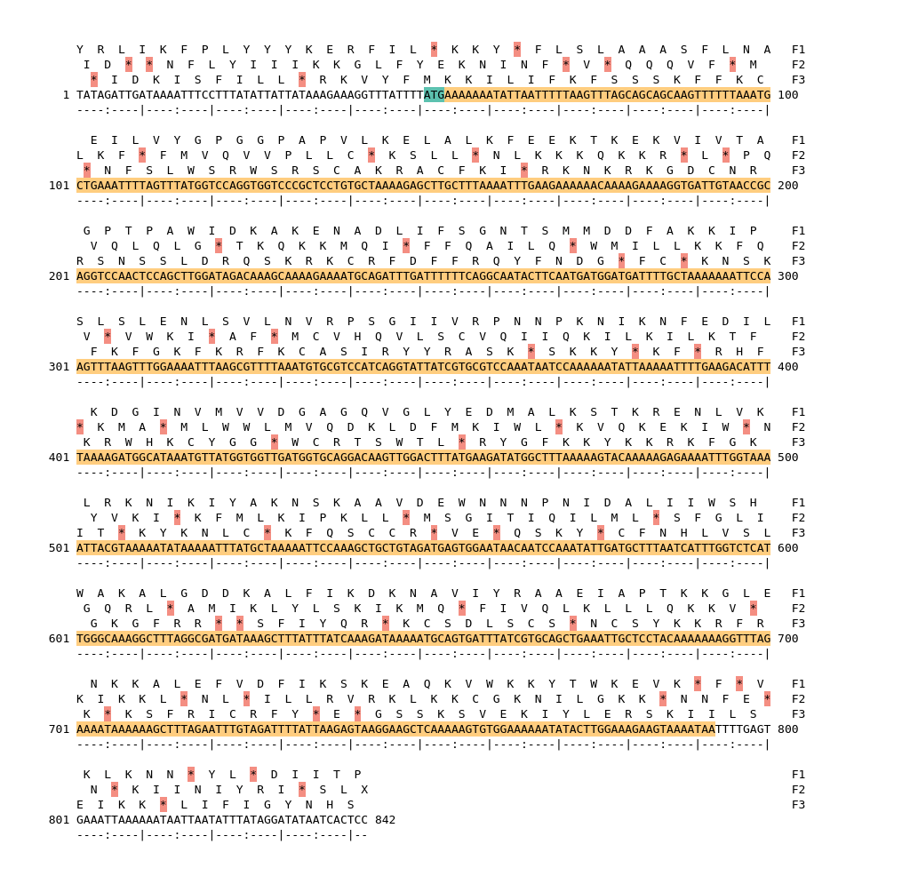 Image of isolate 79114 DNA sequence (yellow) for gene CAMP0713. Amino acids for each of the three frames is shown above the sequence. There is a start codon highlighted in green. There is not a stop codon highlighted red. There are internal stop codons.