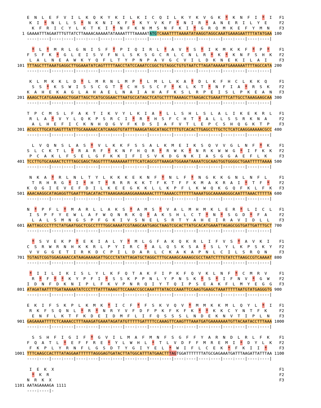 Image of isolate 79117 DNA sequence (yellow) for gene CAMP1518. Amino acids for each of the three frames is shown above the sequence. There is a start codon highlighted in green. There is a stop codon highlighted red.