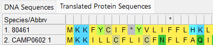 Isolate and defined amino acids sequences open in MEGA with colour. Stop codon indicated by a *. Letters represent amino acids.