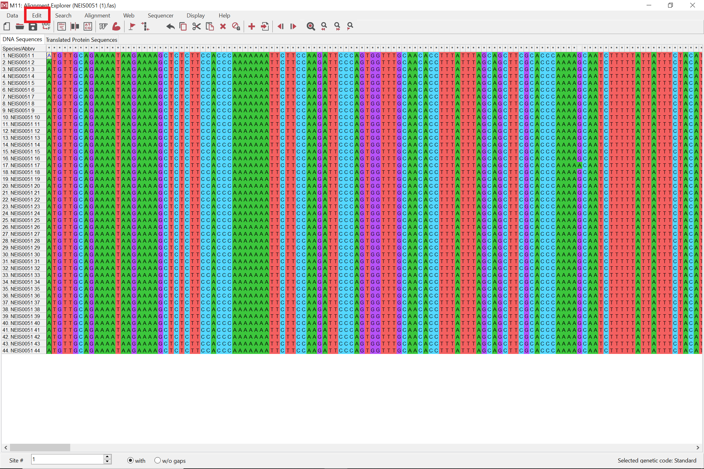 NEIS0051 alleles opened in MEGA with red box around Edit