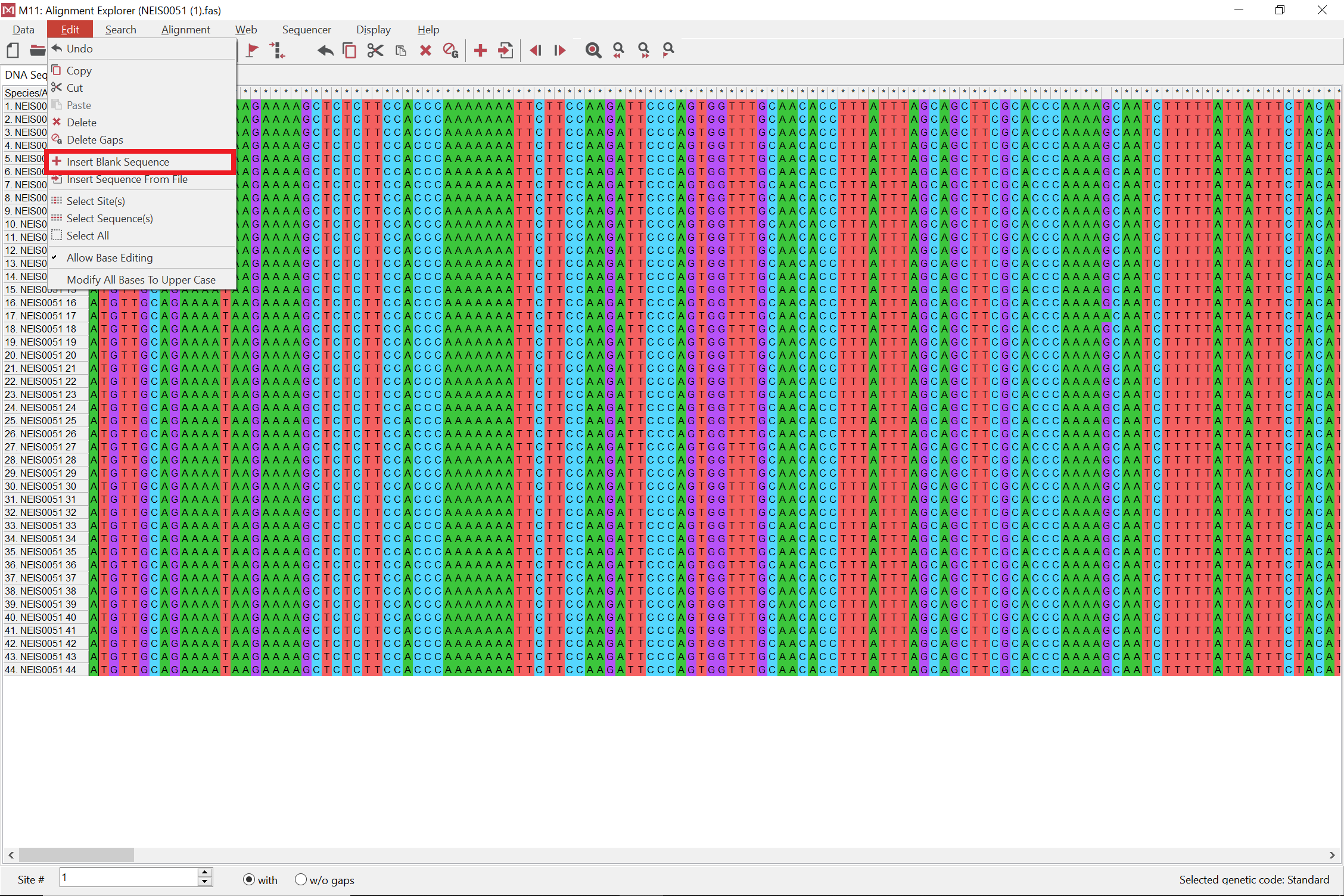 NEIS0051 alleles opened in MEGA with red box around insert blank sequence