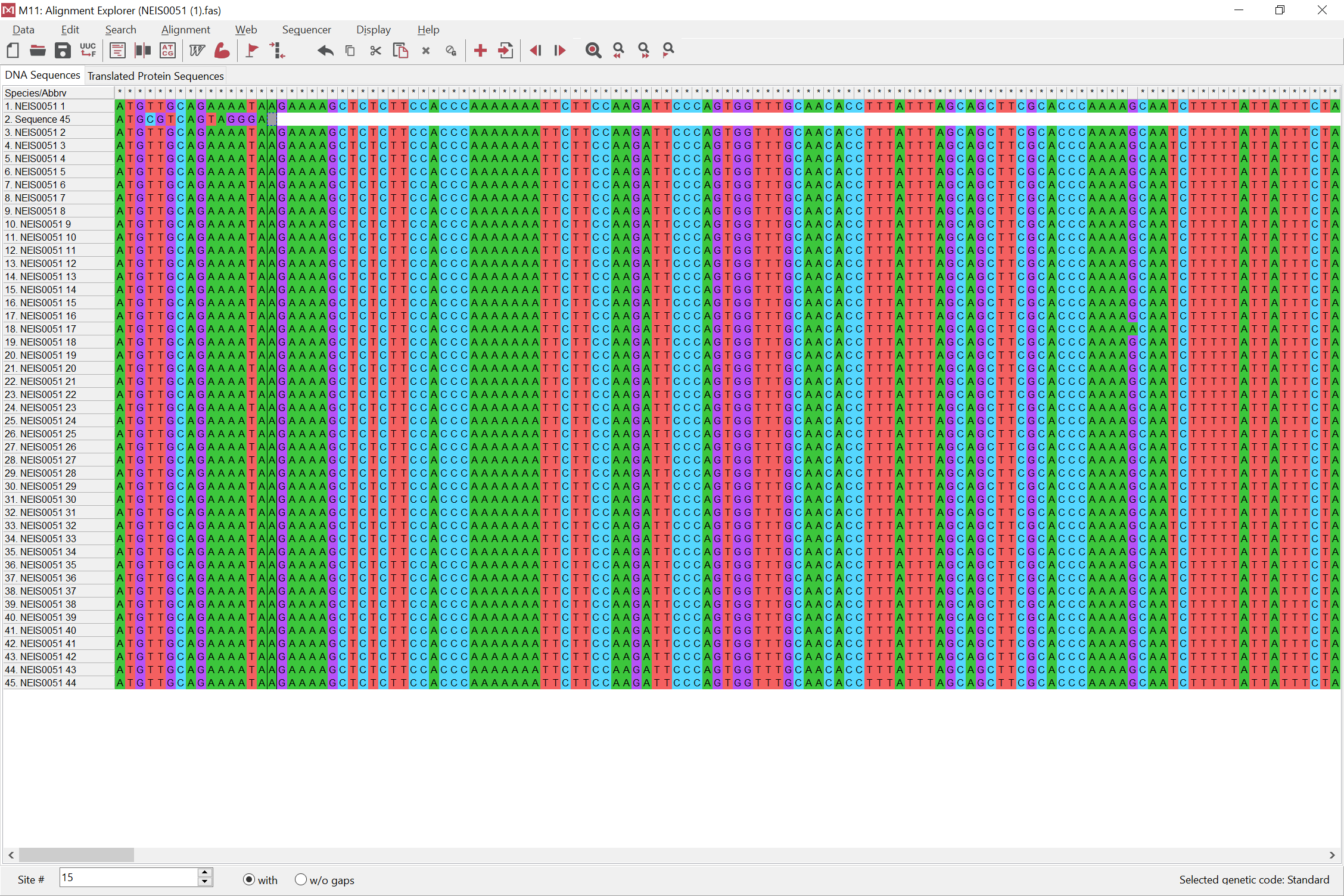 NEIS0051 alleles opened in MEGA with test sequence