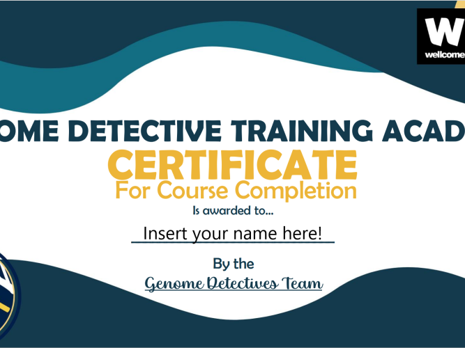 Certificate for completion of the genome detectives training academy. 