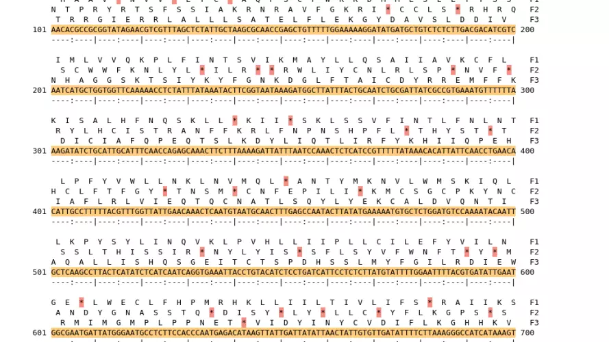 Image of isolate 2371 DNA sequence (yellow) for gene ACIN10555. Amino acids for each of the three frames is shown above the sequence. There is a start codon highlighted in green. There is a stop codon highlighted red. There is an additional stop codon.