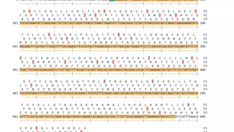 Image of isolate 2661 DNA sequence (yellow) for gene ACIN12090. Amino acids for each of the three frames is shown above the sequence. There is a start codon highlighted in green. There is not a stop codon highlighted red.