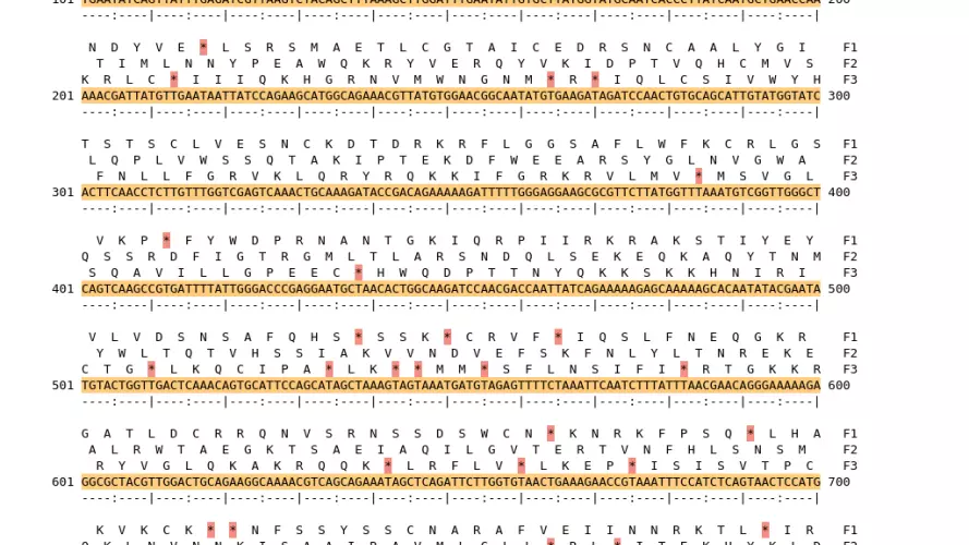 Image of isolate 2696 DNA sequence (yellow) for gene ACIN00725. Amino acids for each of the three frames is shown above the sequence. There is a start codon highlighted in green. There is not a stop codon highlighted red.