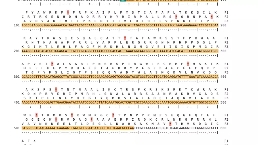 Image of isolate 50101 DNA sequence (yellow) for gene NEIS1956. Amino acids for each of the three frames is shown above the sequence. There is a start codon highlighted in green. There is not a stop codon highlighted red.