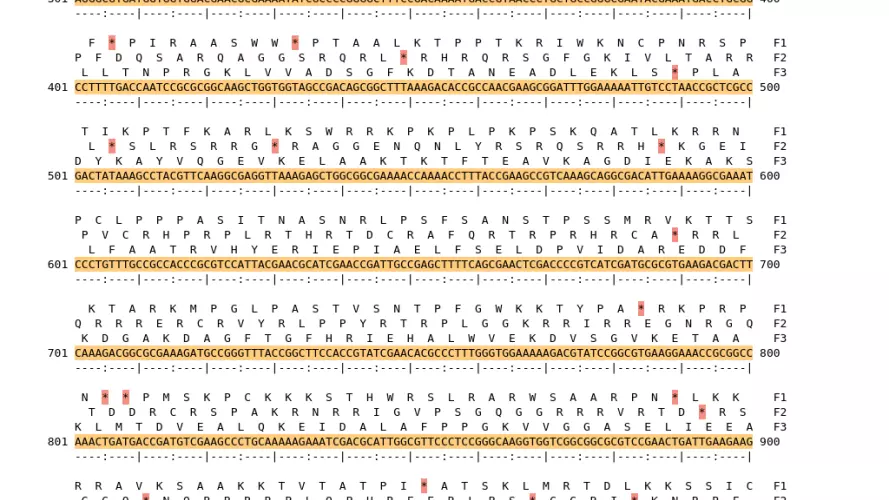 Image of isolate 50469 DNA sequence (yellow) for gene NEIS0012. Amino acids for each of the three frames is shown above the sequence. There is a start codon highlighted in green and a stop codon highlighted red. There is an internal stop codon.