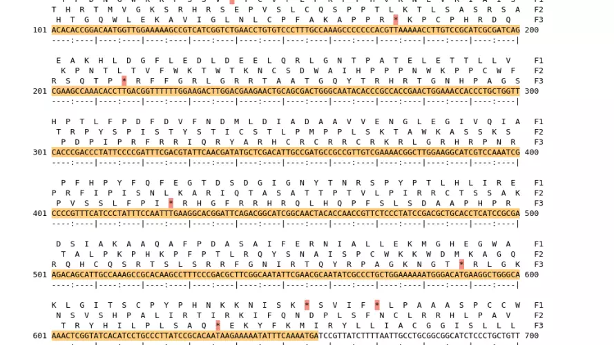 Image of isolate 50482 DNA sequence (yellow) for gene NEIS0514. Amino acids for each of the three frames is shown above the sequence. There is a start codon highlighted in green. There is not a stop codon highlighted red. There are internal stop codons.