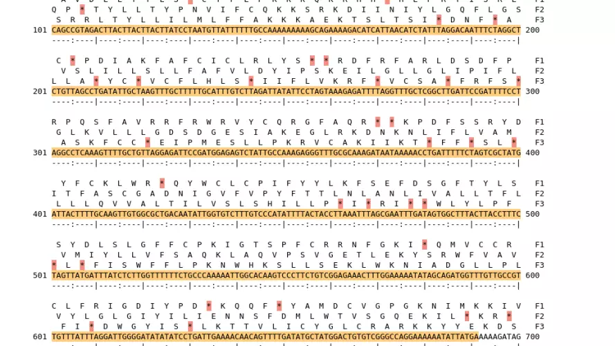 Image of isolate 51107 DNA sequence (yellow) for gene NEIS1927. Amino acids for each of the three frames is shown above the sequence. There is a start codon highlighted in green. There not a stop codon highlighted red.