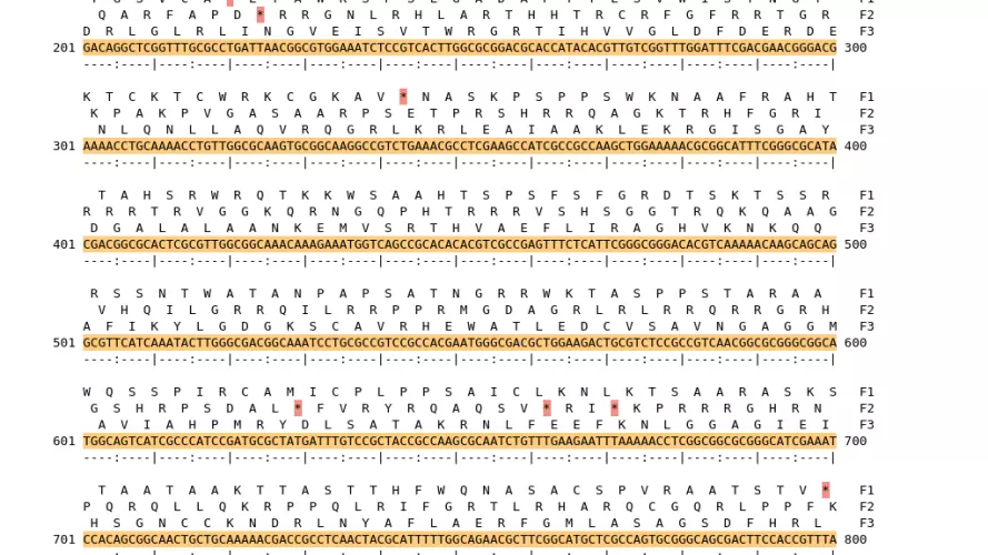 Image of isolate 54238 DNA sequence (yellow) for gene NEIS0394. Amino acids for each of the three frames is shown above the sequence. There is a start codon highlighted in green. There is a stop codon highlighted red. There is an internal stop codon.