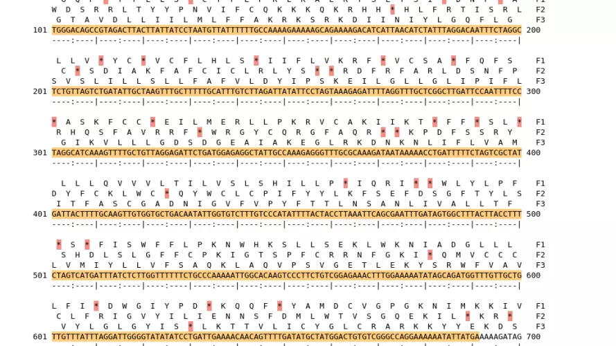 Image of isolate 54264 DNA sequence (yellow) for gene NEIS1927. Amino acids for each of the three frames is shown above the sequence. There is a start codon highlighted in green. There is not a stop codon highlighted red.
