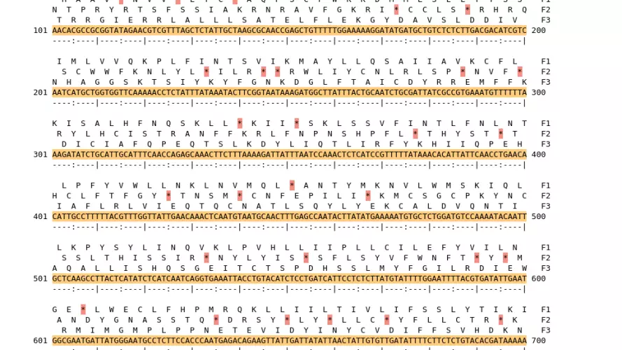 Image of isolate 7439 DNA sequence (yellow) for gene ACIN10555. Amino acids for each of the three frames is shown above the sequence. There is a start codon highlighted in green. There is not a stop codon highlighted red.