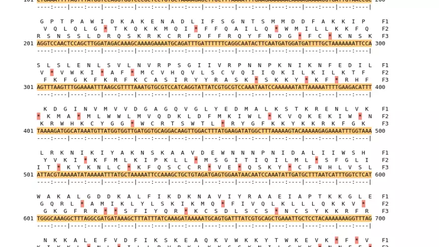 Image of isolate 79114 DNA sequence (yellow) for gene CAMP0713. Amino acids for each of the three frames is shown above the sequence. There is a start codon highlighted in green. There is not a stop codon highlighted red. There are internal stop codons.