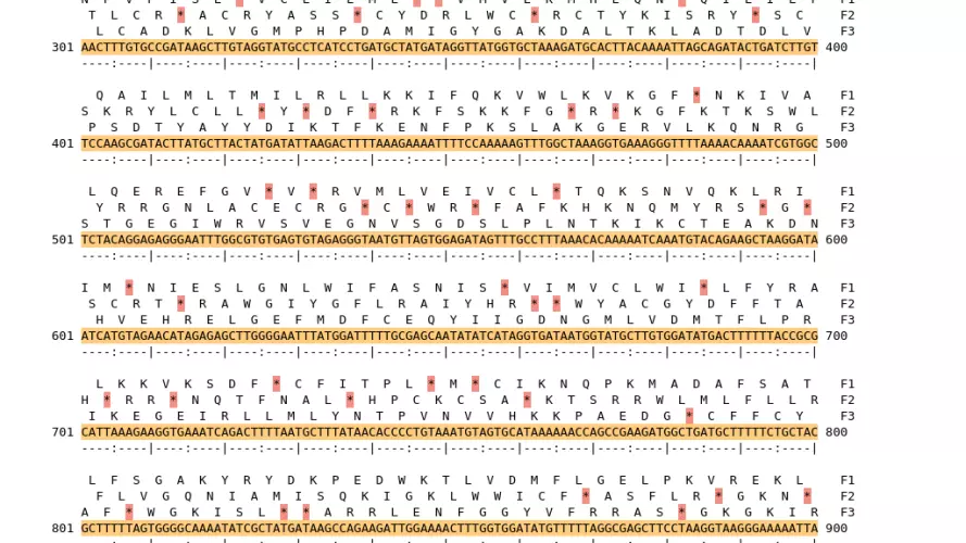 Image of isolate 79118 DNA sequence (yellow) for gene CAMP0061. Amino acids for each of the three frames is shown above the sequence. There is a start codon highlighted in green. There is not a stop codon highlighted red. There are additional stop codons.