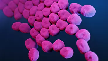 Medical illustration of Acinetobacter baumannii