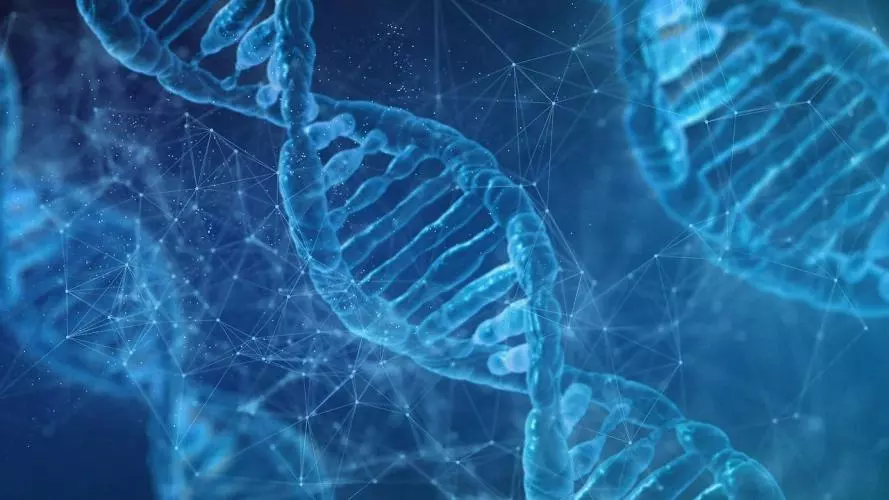 Illustration of DNA