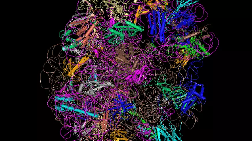 Bacterial ribosome structure