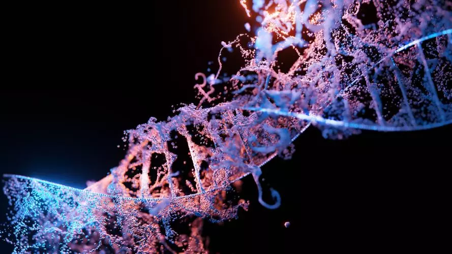 DNAmolecule