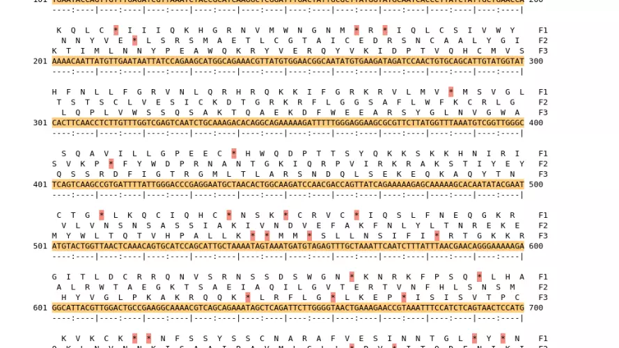 Image of isolate 3063 DNA sequence (yellow) for gene ACIN00725. Amino acids for each of the three frames is shown above the sequence. There is a start codon highlighted in green. There is not a stop codon highlighted red. There are internal stop codons.