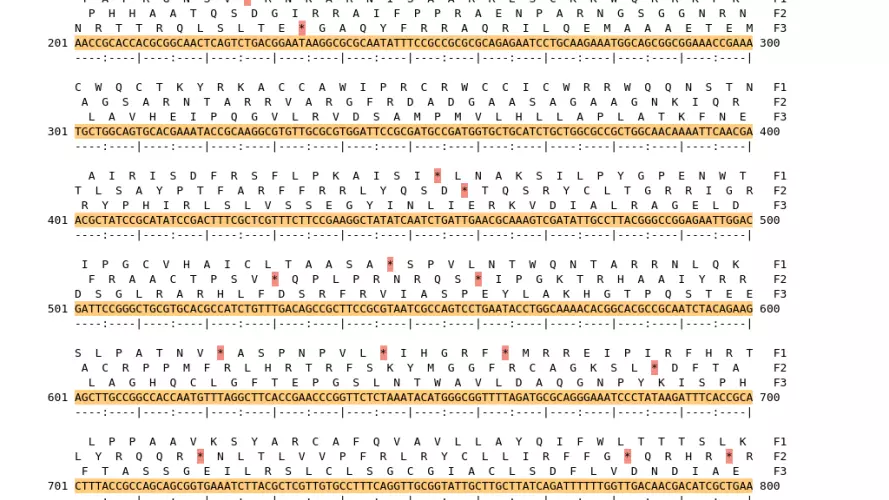 Image of isolate 50102 DNA sequence (yellow) for gene NEIS0362. Amino acids for each of the three frames is shown above the sequence. There is a start codon highlighted in green. There is a stop codon highlighted red. There is an internal stop codon.