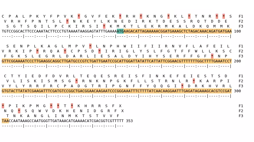 Image of isolate 50128 DNA sequence (yellow) for gene NEIS0309. Amino acids for each of the three frames is shown above the sequence. There is a start codon highlighted in green. There is not a stop codon highlighted red.