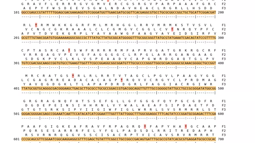 Image of isolate 50481 DNA sequence (yellow) for gene NEIS2934. Amino acids for each of the three frames is shown above the sequence. There is a start codon highlighted in green. There is not a stop codon highlighted red. There is an additional stop codon