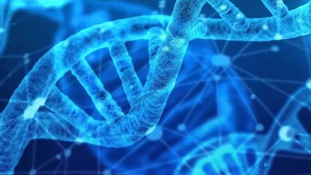Digital image of DNA molecules