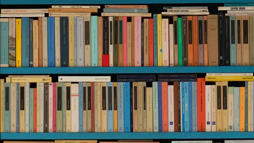 Photograph of books on a shelf