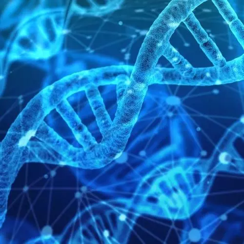 Digital image of DNA molecules