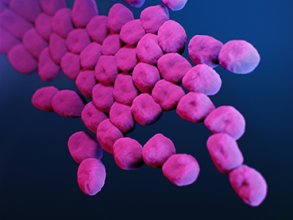 Medical illustration of Acinetobacter baumannii
