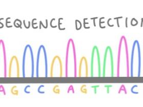 Sanger sequencing - sequence detection