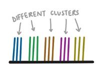 Illumina sequencing - DNA clusters