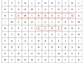 Genomes wordsearch